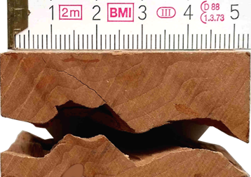 Holz Ein Stück Holz mit einem Riss in der Mite und einem Maßstab oben